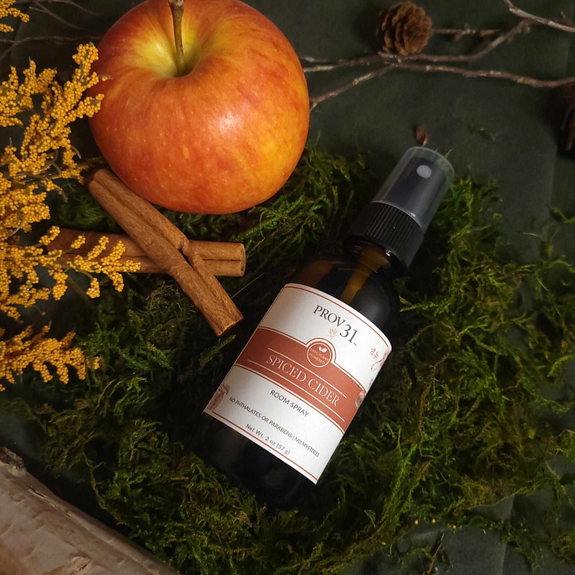 Bottle of Prov31 Spiced Cider room spray with an apple, cinnamon sticks, and pine cones on a green surface.