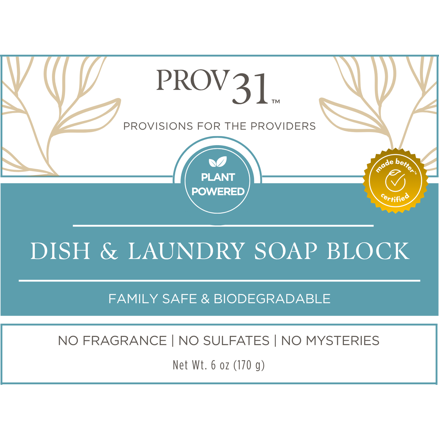 Dish & Laundry Soap Block